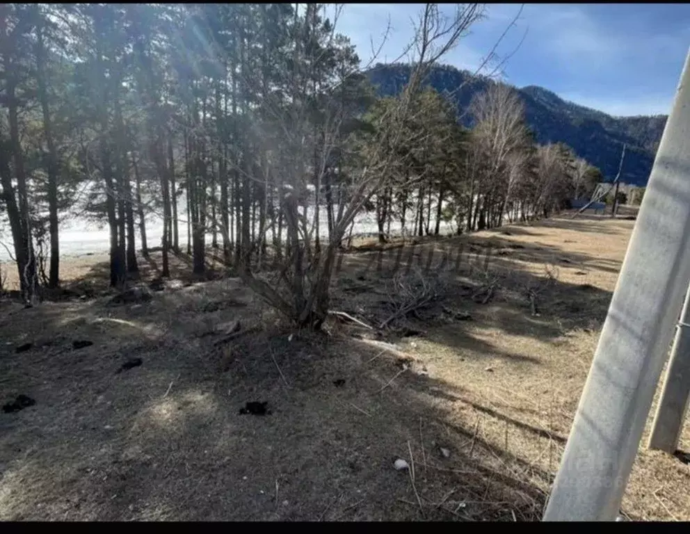 Участок в Алтай, Чемальский район, Узнезинское с/пос, с. Узнезя  (15.0 ... - Фото 1