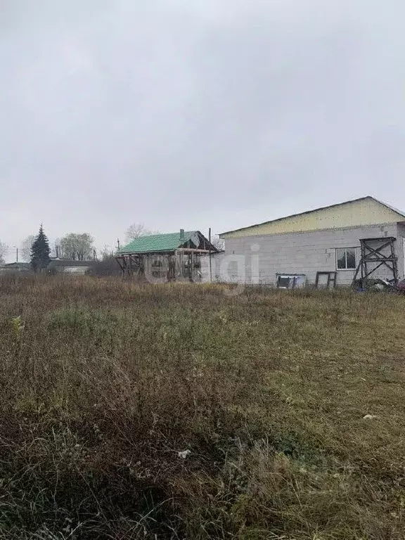 Участок в Воронежская область, с. Новая Усмань ул. Пятницкого (12.0 ... - Фото 1