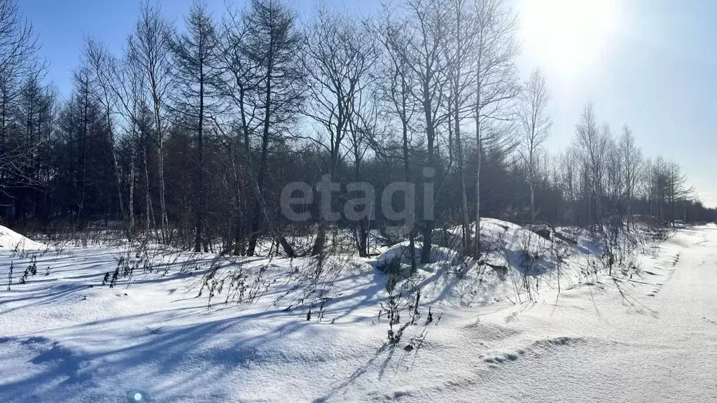 Участок в Сахалинская область, Южно-Сахалинск Здоровье СНТ, 42 (9.45 ... - Фото 1