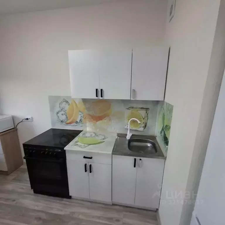 Студия Новосибирская область, Новосибирск ул. Петухова, 162/1 (29.6 м) - Фото 2