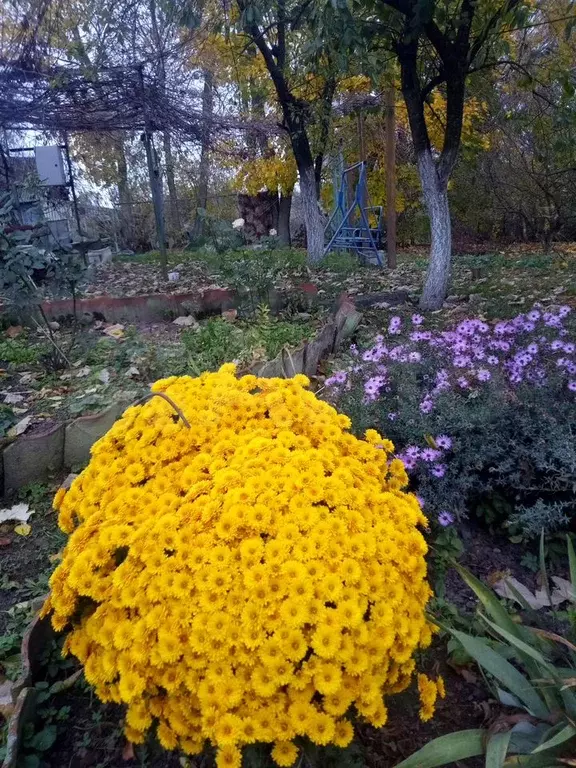 Дом 95 м на участке 17 сот. - Фото 1