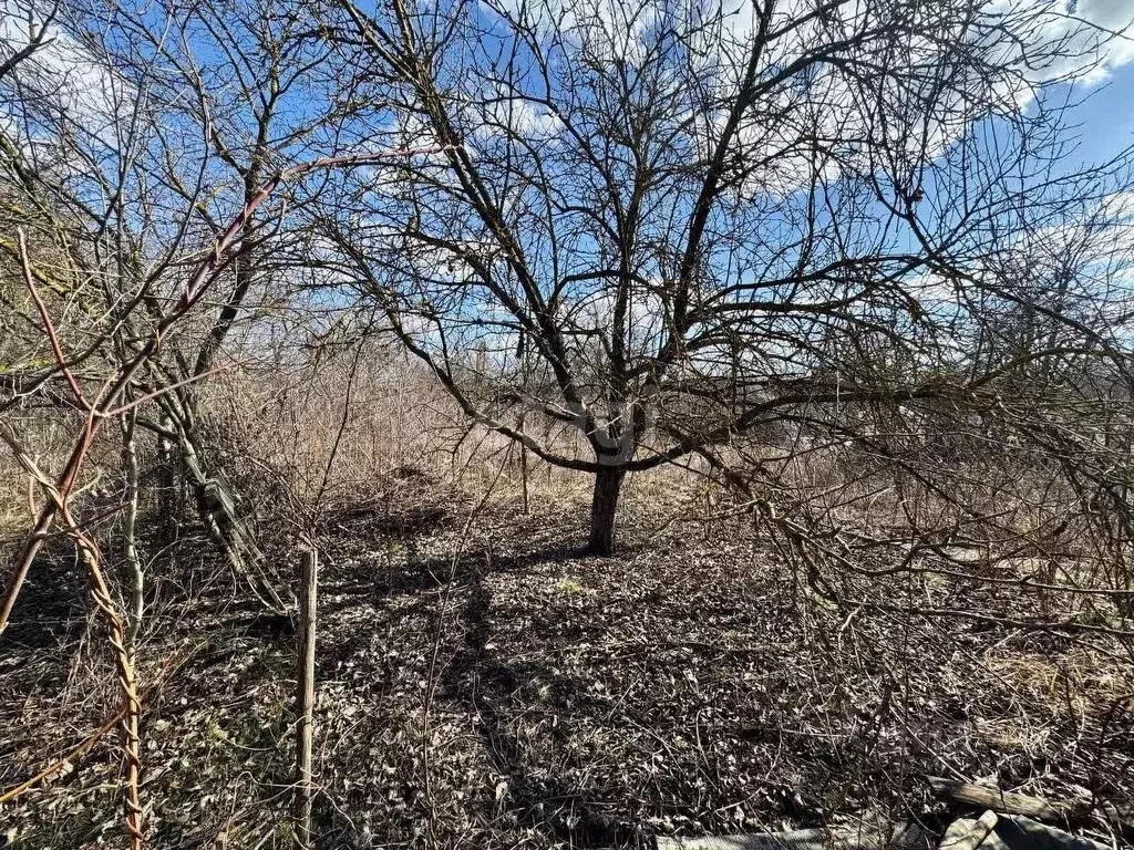 Участок в Липецкая область, Липецк Строитель-3 СНТ, 191 (5.9 сот.) - Фото 1