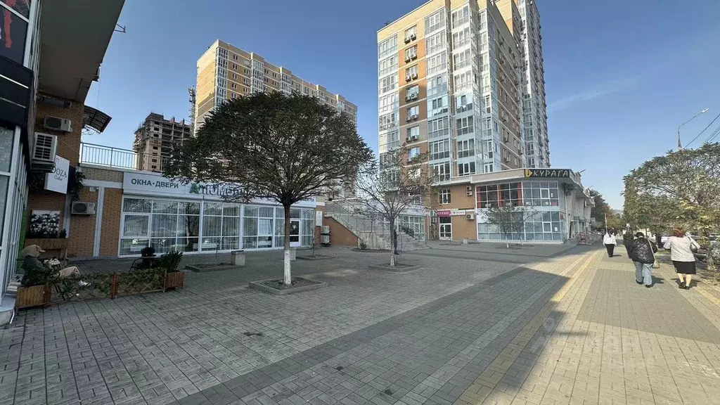 Помещение свободного назначения в Краснодарский край, Новороссийск ... - Фото 1