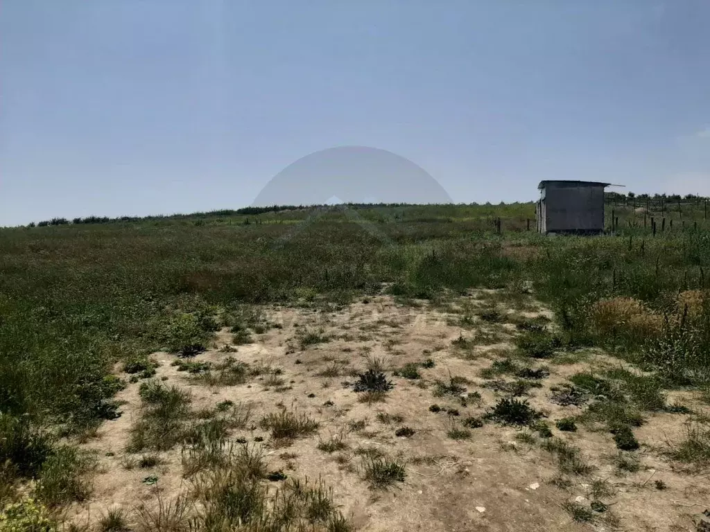 Участок в Краснодарский край, Анапа муниципальный округ, Анапская ... - Фото 1