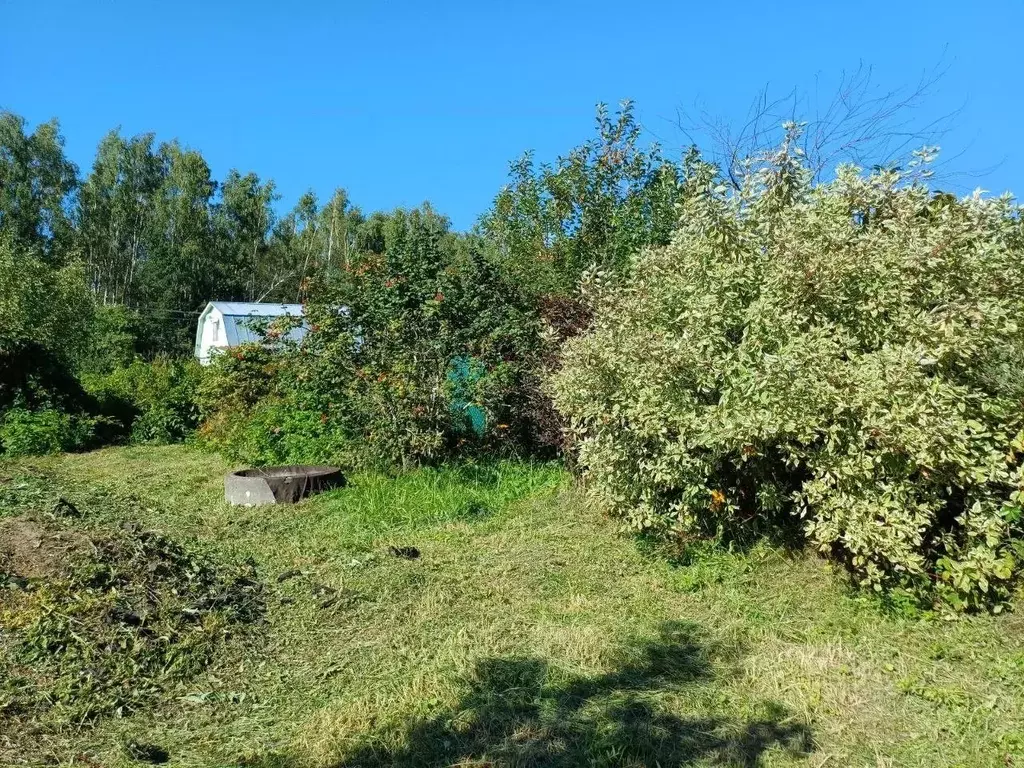 Участок в Московская область, Клин городской округ, Третьяково СНТ 175 ... - Фото 2