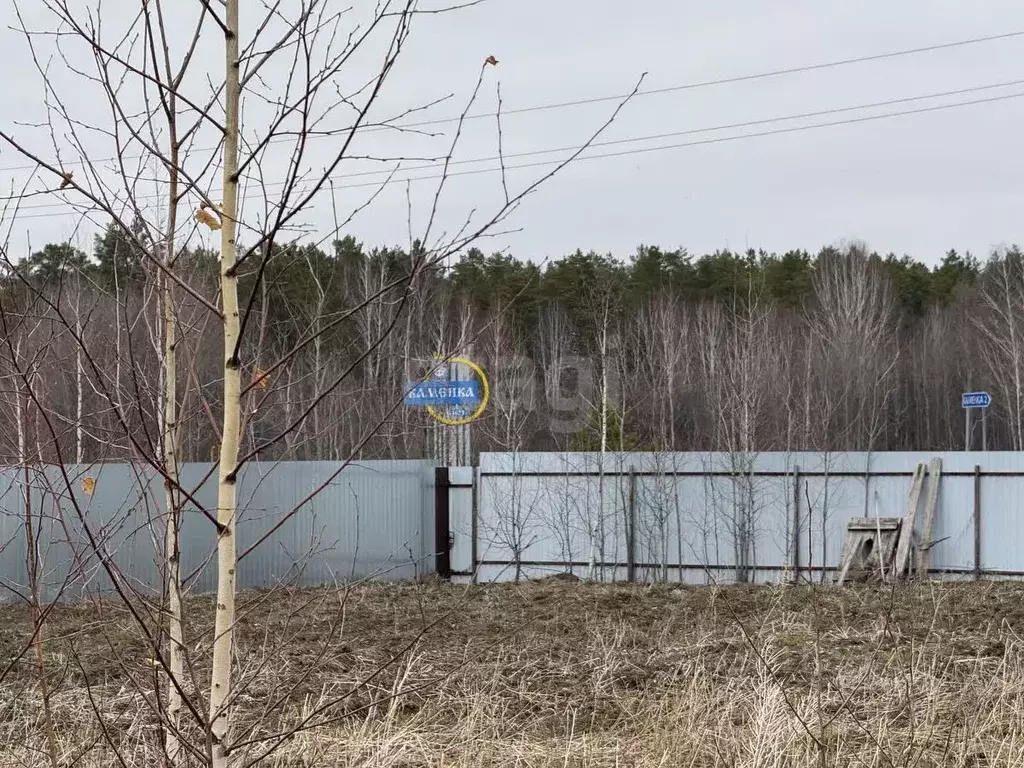 Участок в Тюменская область, Тюменский район, с. Каменка ул. ... - Фото 0