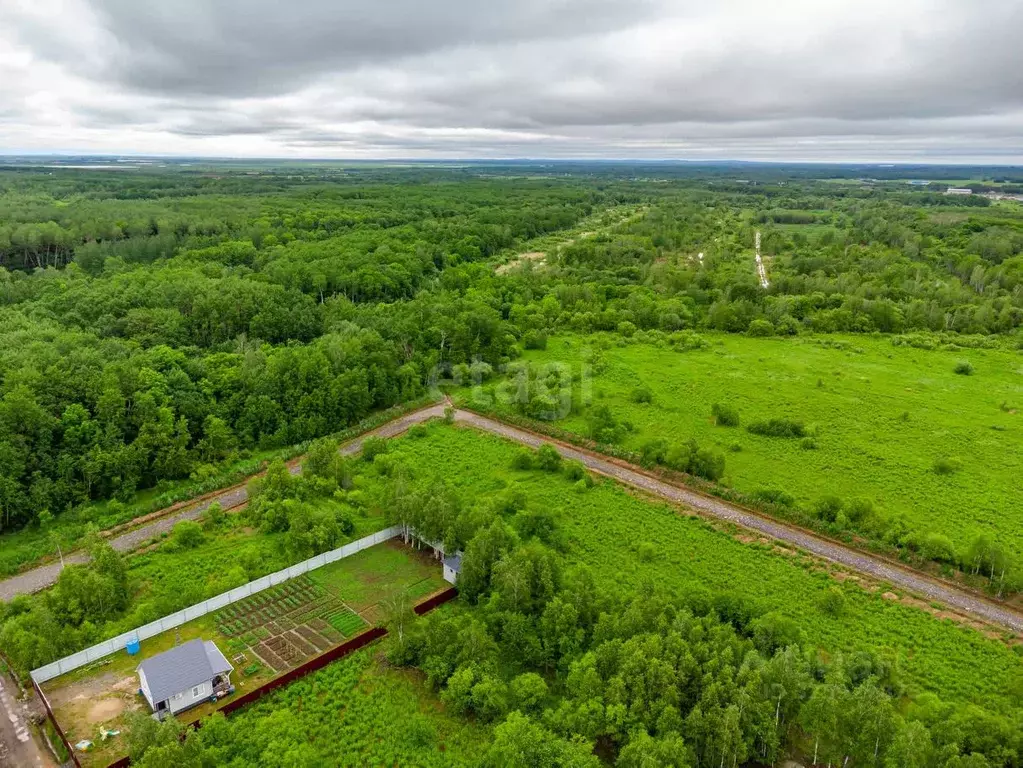 Участок в Хабаровский край, Хабаровский район, Мичуринское с/пос, ... - Фото 1