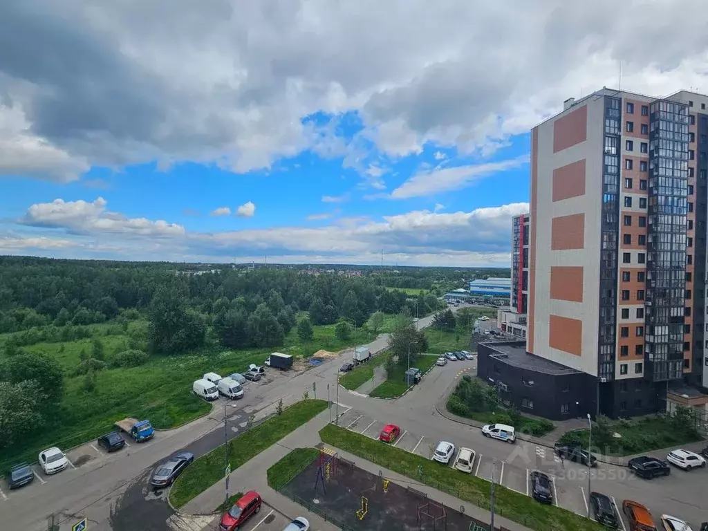 Студия Московская область, Раменское ул. Молодежная, 28А (30.0 м) - Фото 2