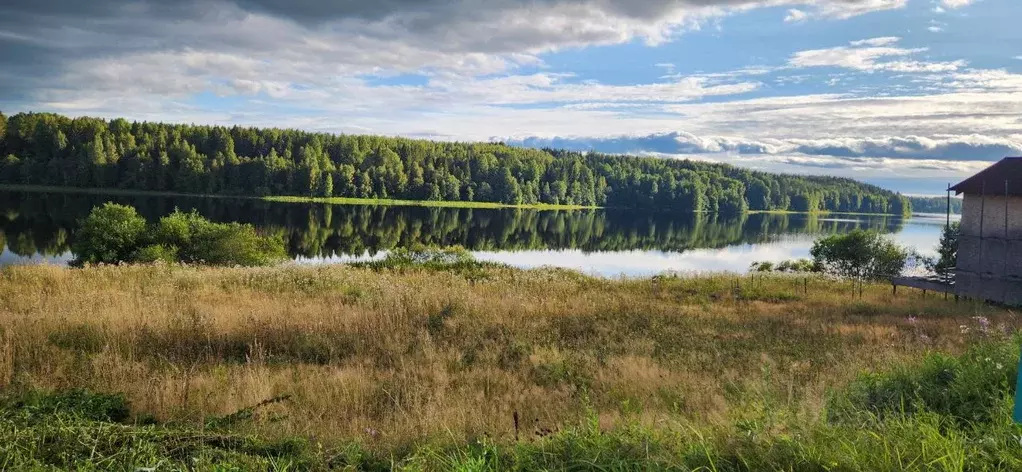 Дом в Ленинградская область, Тихвинский район, Пашозерское с/пос, д. ... - Фото 1