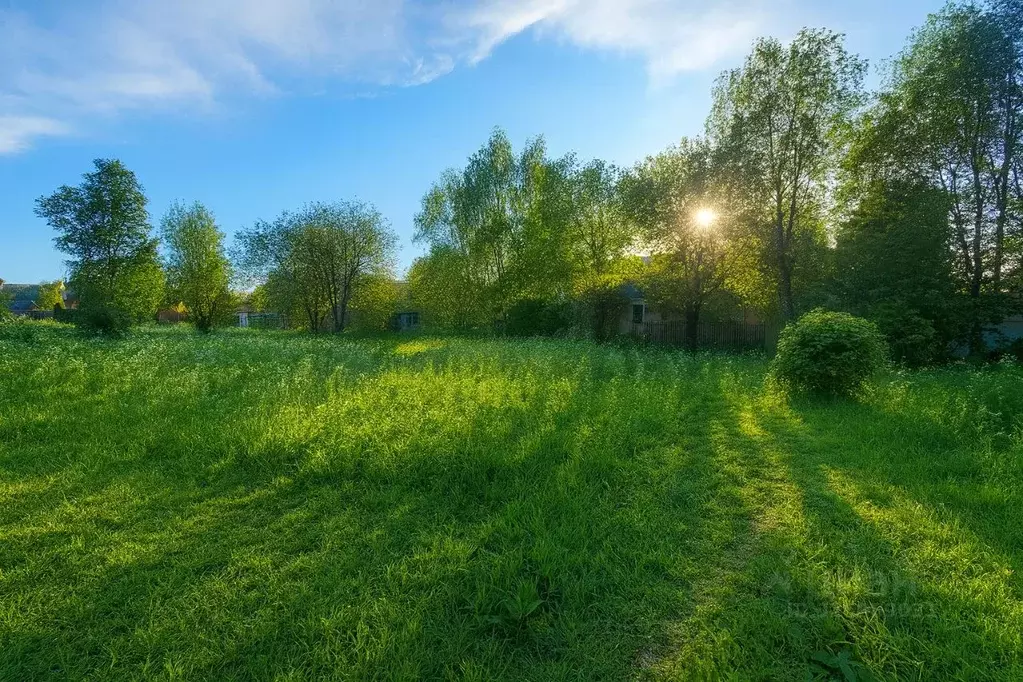 Участок в Московская область, Черноголовка городской округ, с. ... - Фото 2