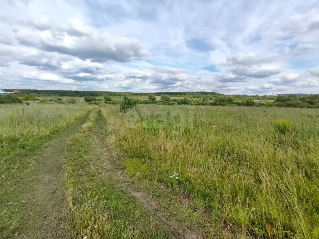 Участок в Мордовия, Лямбирский район, Берсеневское с/пос, д. Русская ... - Фото 2