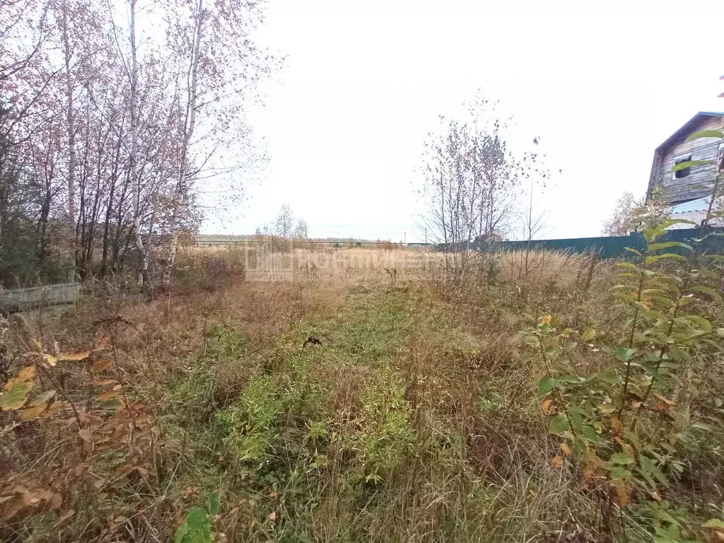 Участок в Владимирская область, Камешково Зеленая ул. (10.57 сот.) - Фото 2