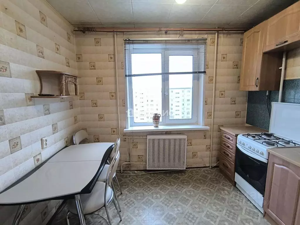 1-к кв. Владимирская область, Владимир ул. Нижняя Дуброва, 24 (32.0 м) - Фото 2