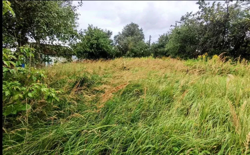 Участок в Московская область, Чехов муниципальный округ, Троицкое пгт  ... - Фото 2