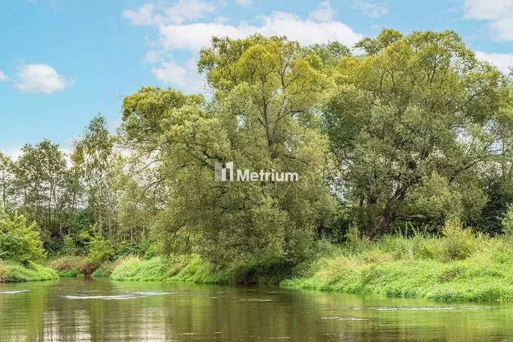 Участок в Москва Марушкинское поселение, д. Крекшино, Чистые Пруды кп, ... - Фото 1