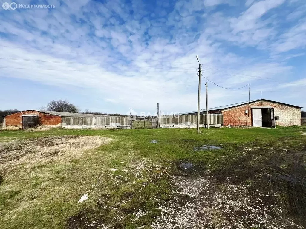 Помещение свободного назначения (1580 м) - Фото 2