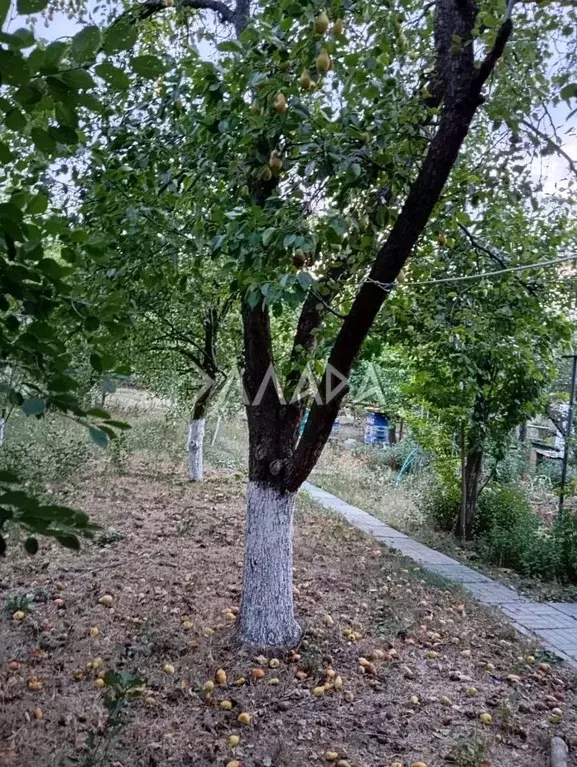 Участок в Ростовская область, Аксайский район, Щепкинское с/пос, ... - Фото 1