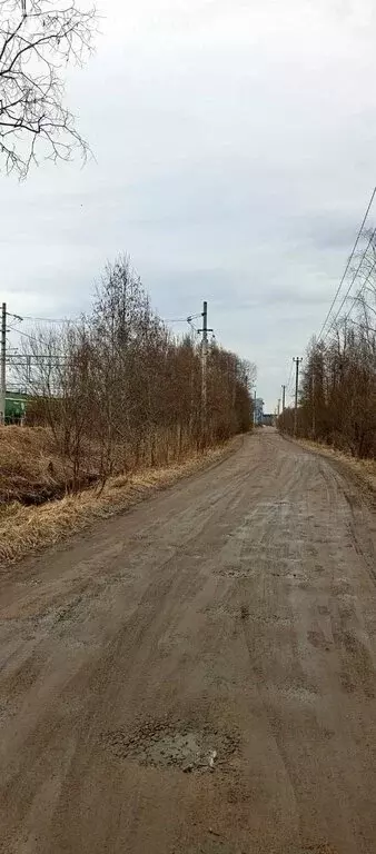 Участок в Выборгский район, Рощинское городское поселение, посёлок при ... - Фото 0