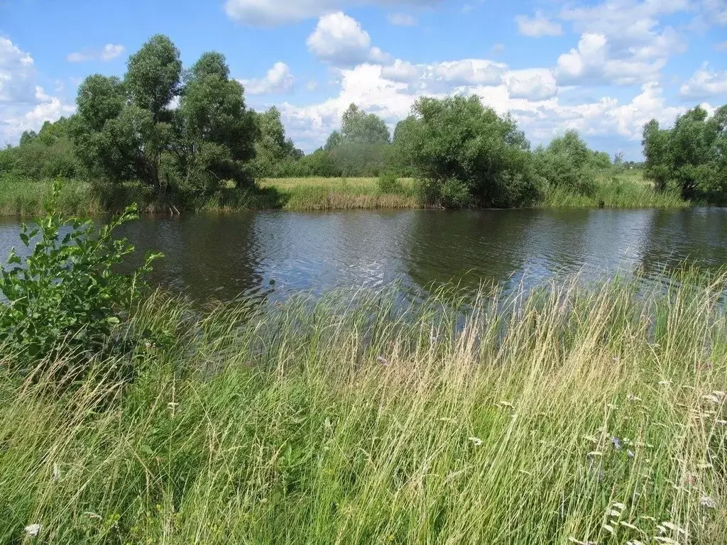 Участок в Московская область, Дмитровский муниципальный округ, д. ... - Фото 1