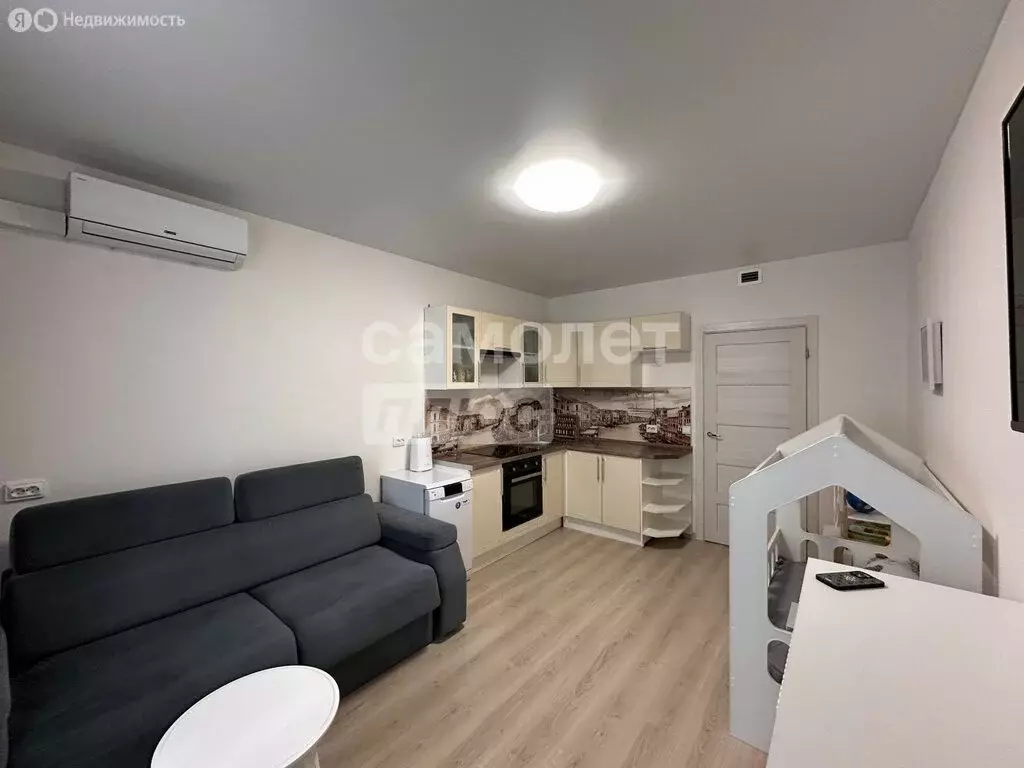 Квартира-студия: Санкт-Петербург, Парашютная улица, 42к2 (24.5 м) - Фото 1