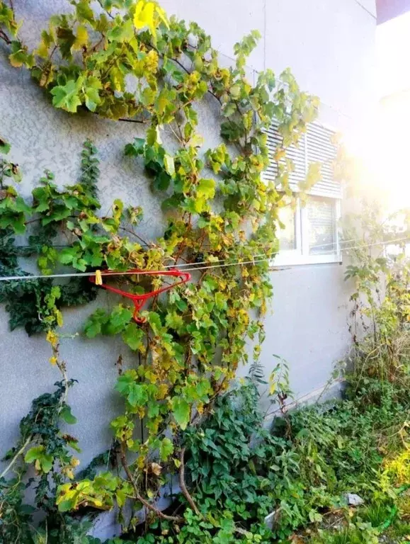 Дом в Калининградская область, Калининград Радуга СНТ, пер. Основной ... - Фото 2