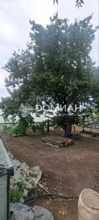 Дом в Октябрьский район, Кривянское сельское поселение, станица ... - Фото 1