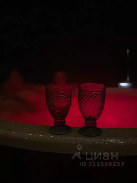 Дом в Новгородская область, Батецкий муниципальный округ, Раглицы СОТ  ... - Фото 2