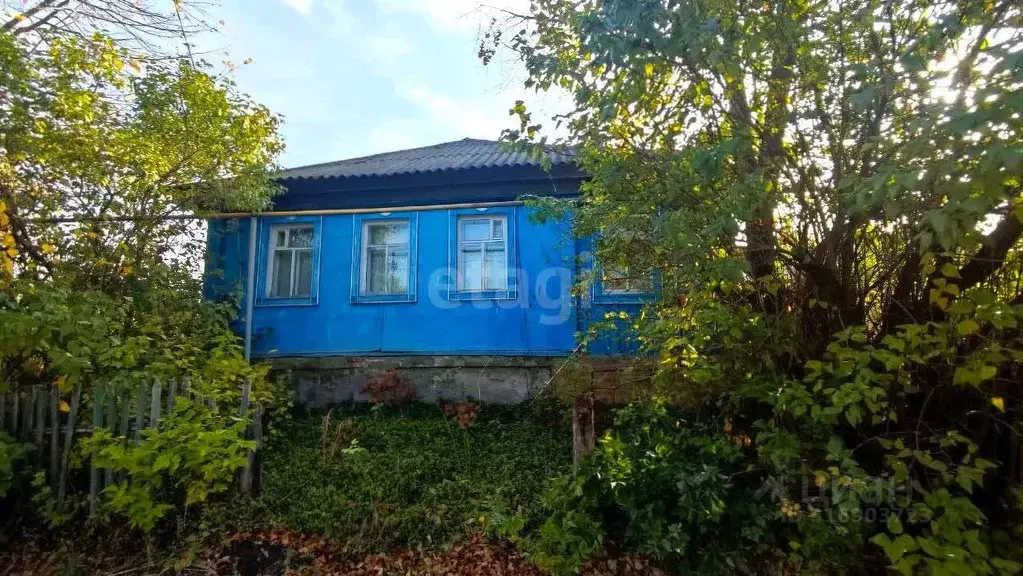 Дом в Белгородская область, Новооскольский муниципальный округ, с. ... - Фото 1