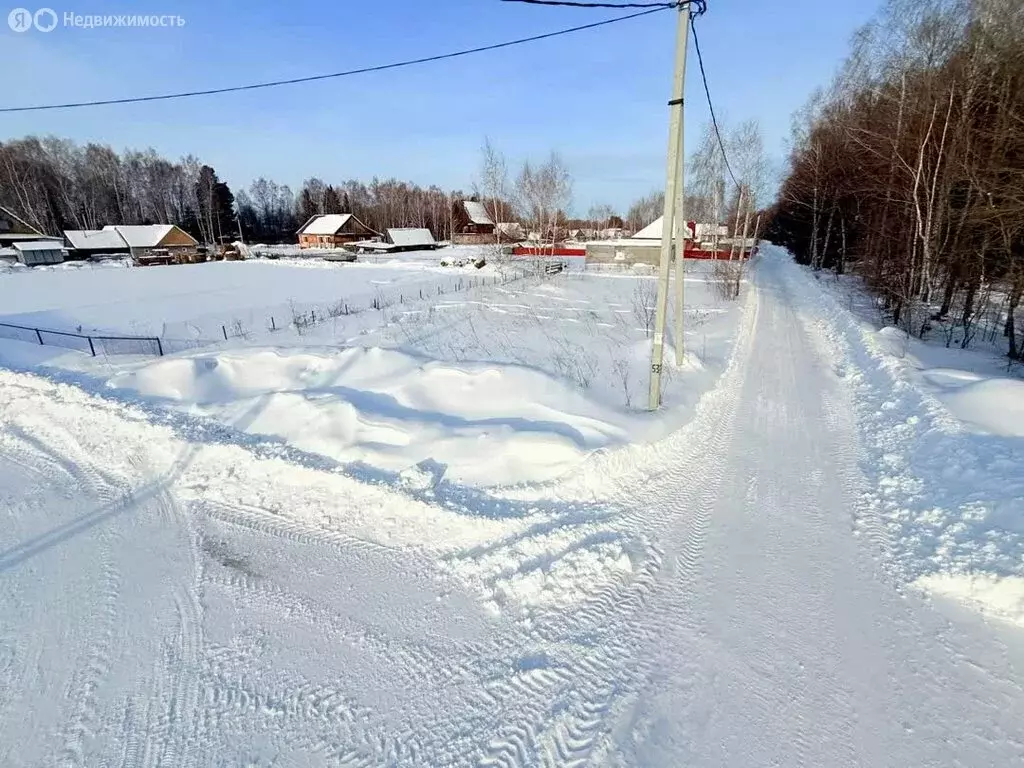 Участок в село Малая Зоркальцева, Лесная улица (11 м) - Фото 2