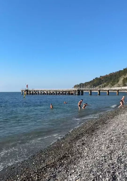 Студия Краснодарский край, Сочи городской округ, Дагомыс пгт ул. ... - Фото 1