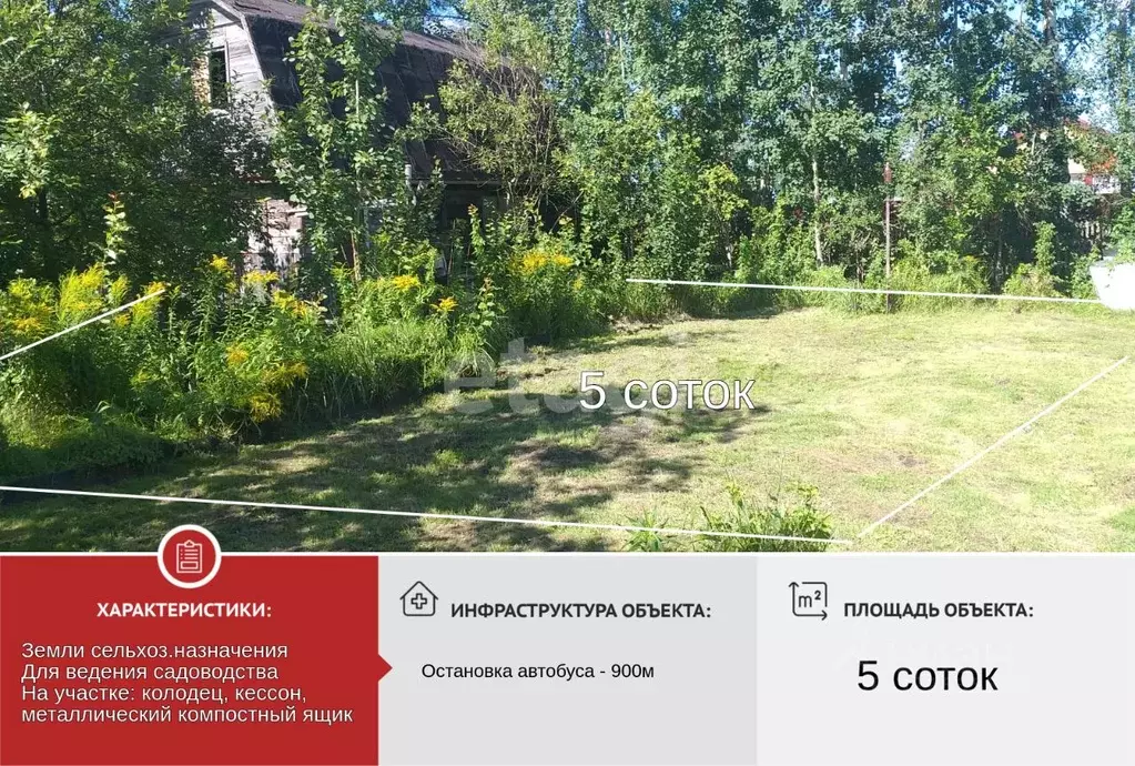 Участок в Вологодская область, Череповецкий район, Лада садовое ... - Фото 1