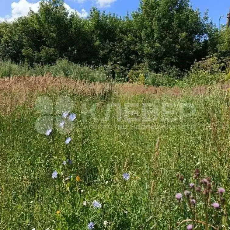 Участок в Пермский край, Чернушка Пролетарская ул., 3А (10.01 сот.) - Фото 1