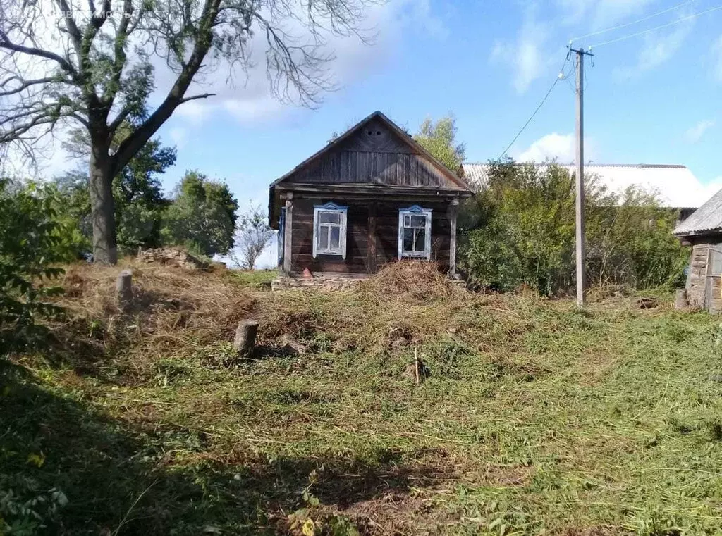 Дом в село Большая Куликовка, улица Чкалова, 41 (52.7 м) - Фото 1