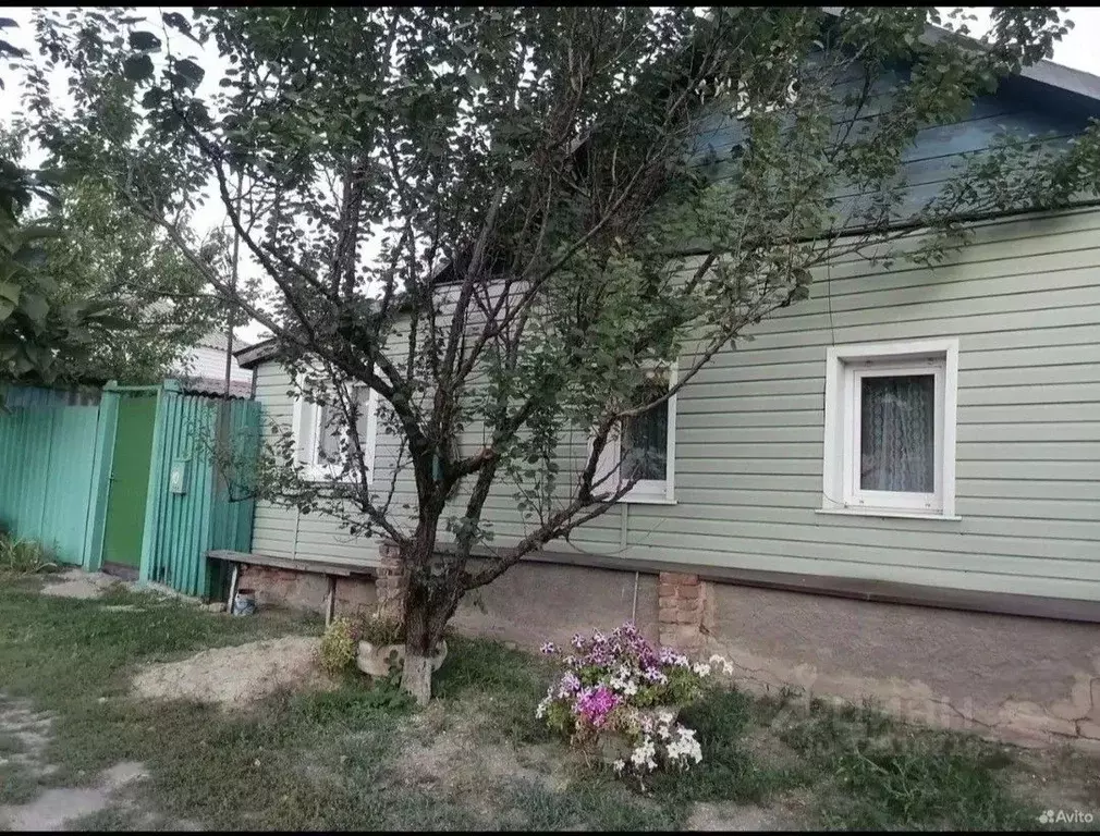 Дом в Белгородская область, Бирюч Красногвардейский район, Заводская ... - Фото 1