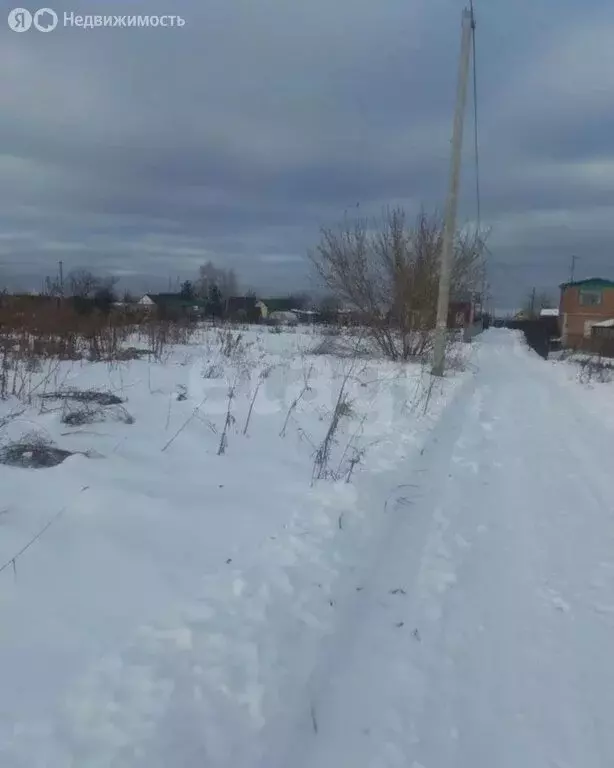 Участок в Бердск, СНТ Вега-4, 6-я улица (10 м) - Фото 2