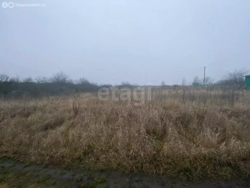 Участок в село Ближнее, СТ Алмазный, 1-й массив (5.89 м) - Фото 2