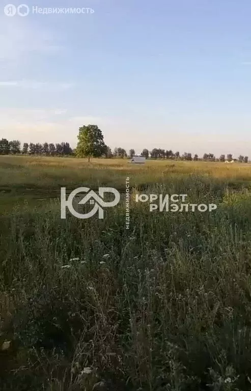 Участок в Воронеж, микрорайон Никольское, улица Глинки (6.3 м) - Фото 0