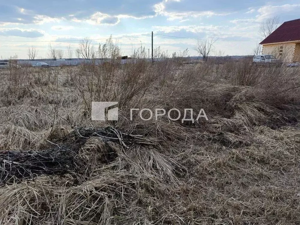 Участок в Новосибирская область, Новосибирский район, Каменский ... - Фото 2