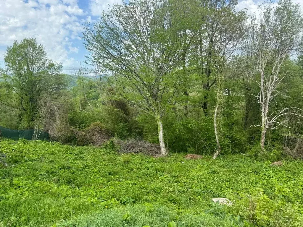 Участок в Краснодарский край, Сочи Королек садовое товарищество,  (3.5 ... - Фото 1