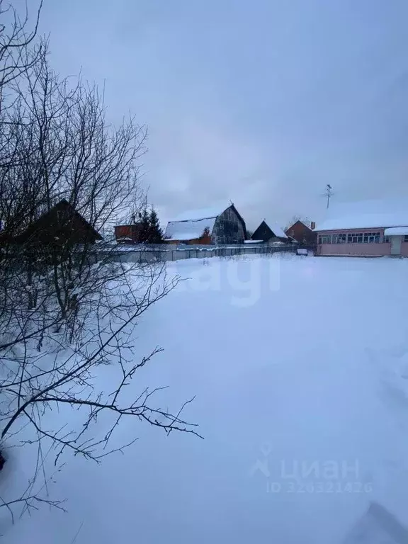 Дом в Московская область, Богородский городской округ, д. Марьино-3 ... - Фото 1