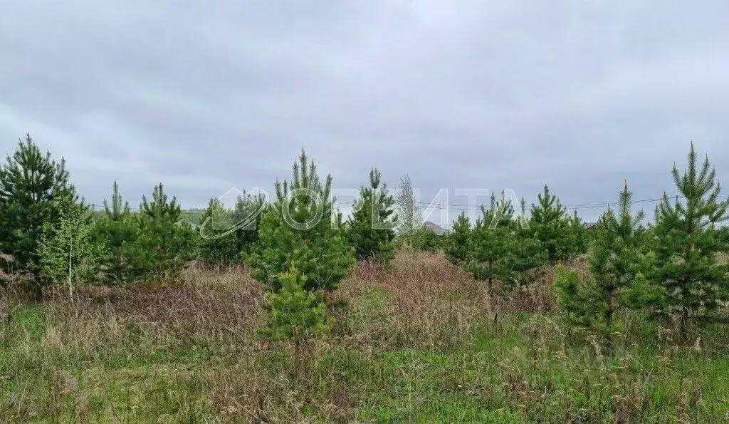 Участок в Тюменская область, Тюменский муниципальный округ, д. Елань  ... - Фото 1