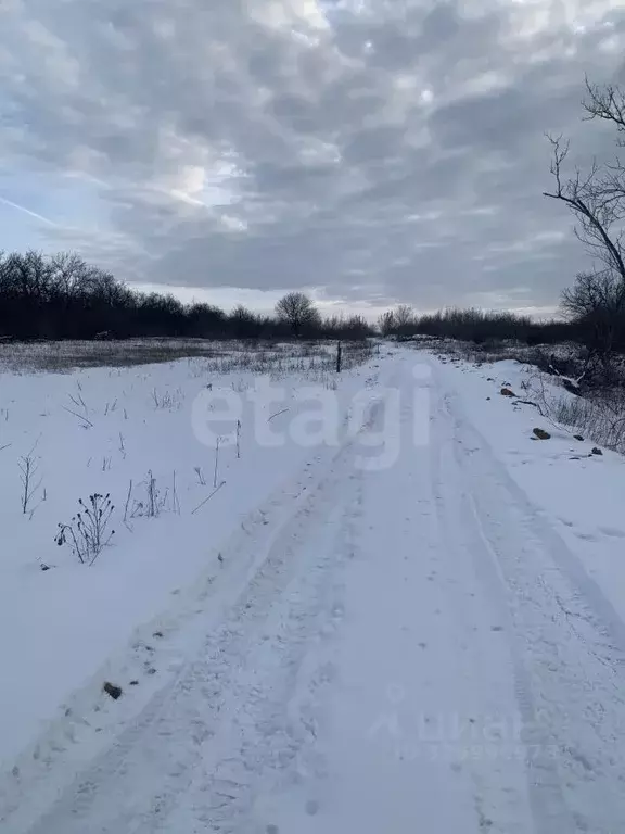 Участок в Ростовская область, Октябрьский район, пос. Персиановский, ... - Фото 1