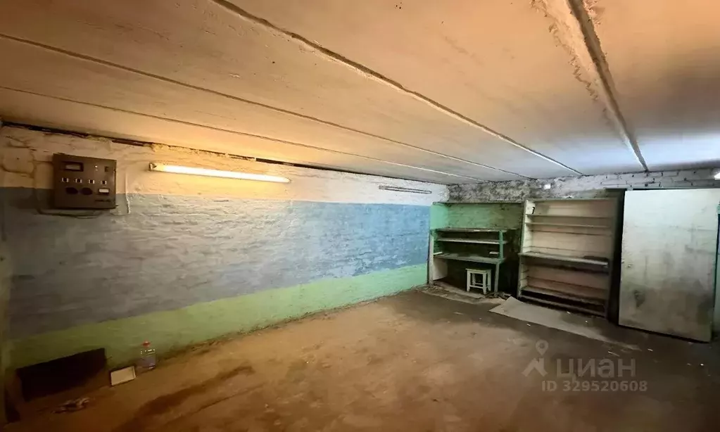 Гараж в Новосибирская область, Новосибирск Ельцовская ул. (17 м) - Фото 2