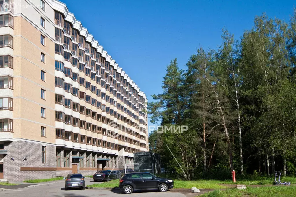 Квартира-студия: Ломоносов, Михайловская улица, 51 (19.4 м) - Фото 1
