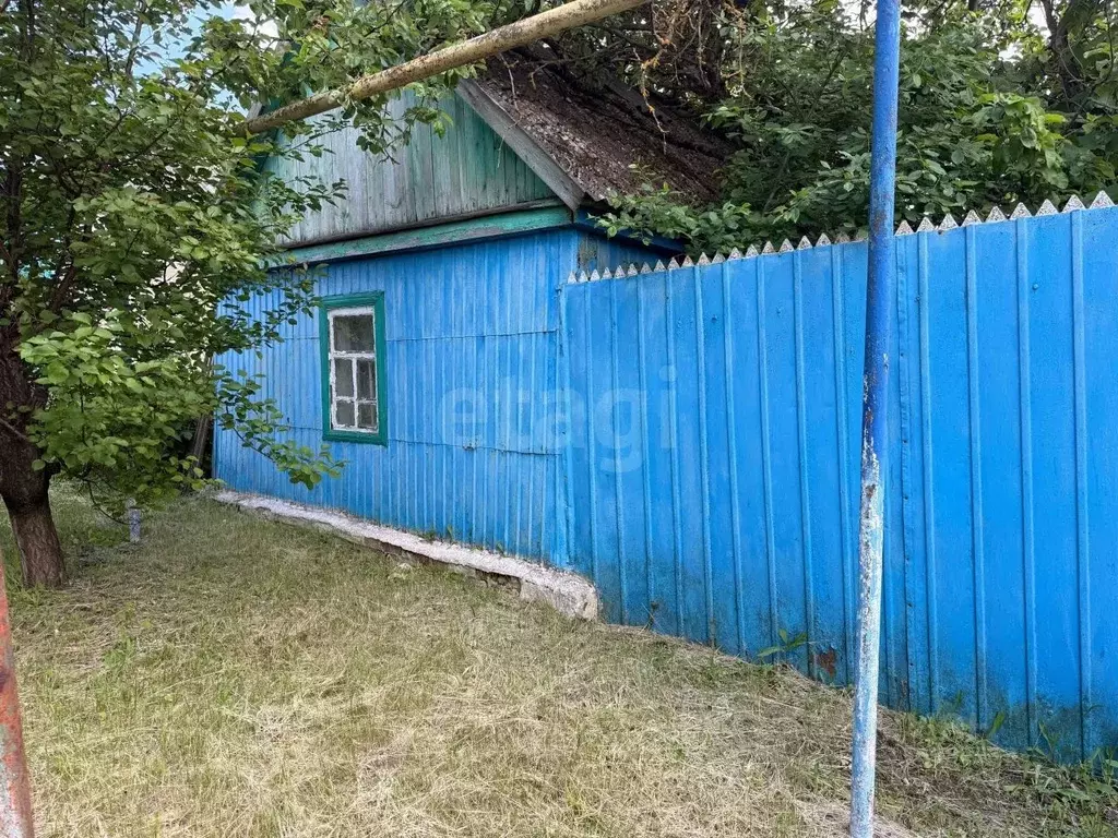 Дом в Белгородская область, Чернянский район, Большанское с/пос, ... - Фото 1