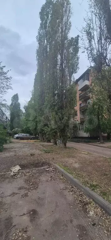 1-к. квартира, 29,2 м, 4/5 эт. - Фото 0