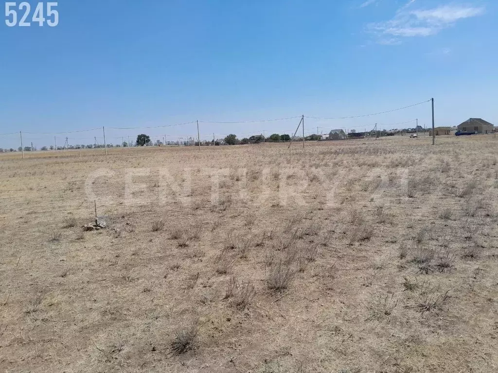 Участок в Крым, Черноморский район, Межводненское с/пос, с. Снежное  ... - Фото 2