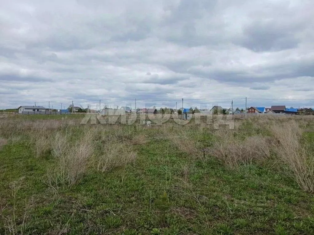Участок в Новосибирская область, Колывань рп ул. Бунина (10.0 сот.) - Фото 2
