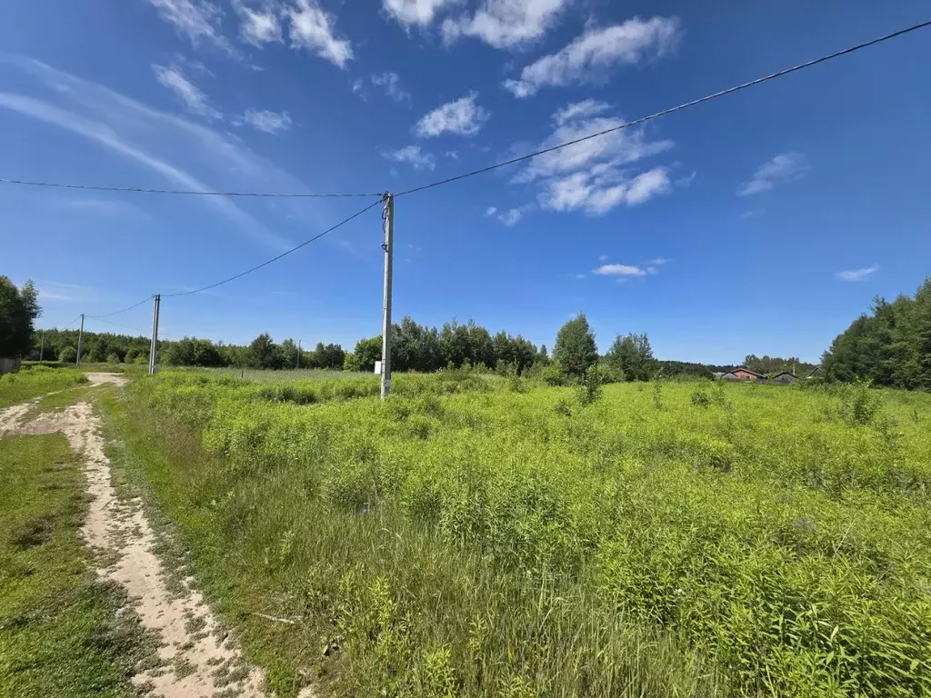 Участок в Нижегородская область, Городецкий муниципальный округ, д. ... - Фото 1
