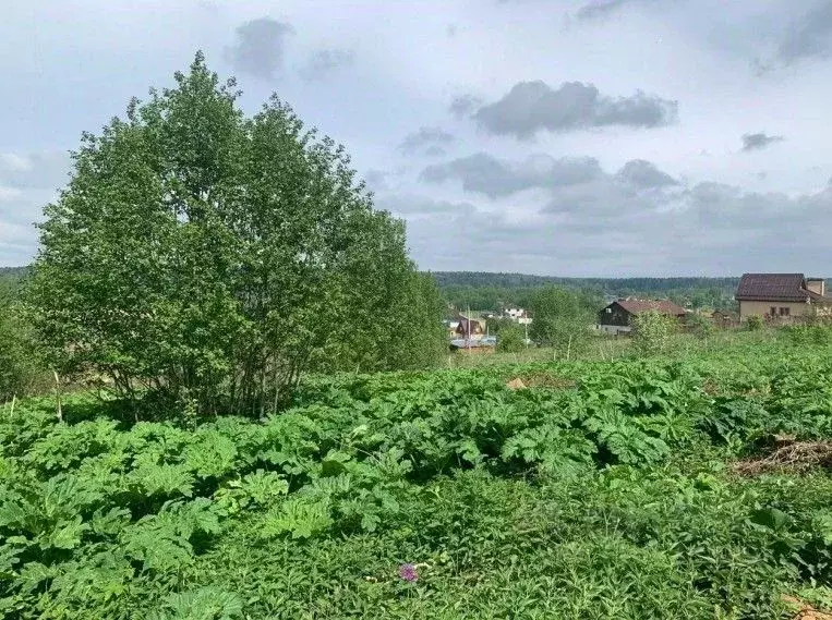 Участок в Московская область, Солнечногорск Загорье-2 мкр,  (9.98 ... - Фото 0